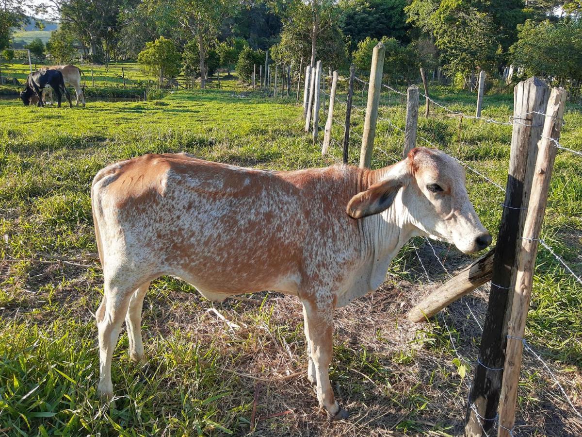 Pousada Roseira Lagoinha Sp Экстерьер фото